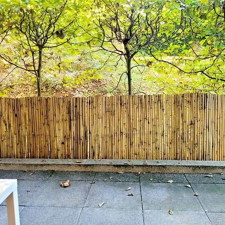Lil Bretech - T2 Avec Terrasse, Parking Et Wifi Apartment *