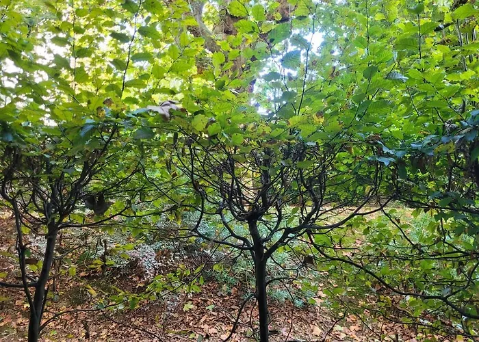 Apartmán Lil Bretech *